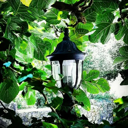 La De Maria بيت ريفي