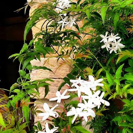 بيت ريفي La De Maria Villanueva de la Peña