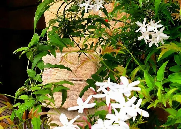 Penzion La De Maria Villanueva de la Peña